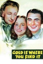 Watch Gold Is Where You Find It 123netflix