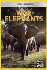 Watch War Elephants 123netflix