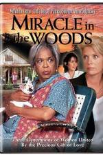 Watch Miracle in the Woods 123netflix