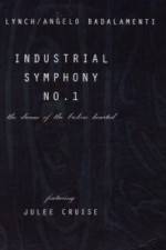Watch Industrial Symphony No 1 The Dream of the Brokenhearted 123netflix