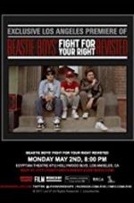 Beastie Boys: Fight for Your Right Revisited 123netflix