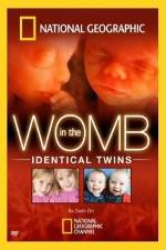 Watch National Geographic: In the Womb - Identical Twins 123netflix