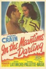 Watch In the Meantime Darling 123netflix