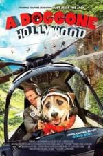 Watch A Doggone Hollywood 123netflix