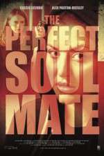 Watch The Perfect Soulmate 123netflix
