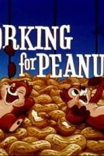 Watch Working For Peanuts 123netflix