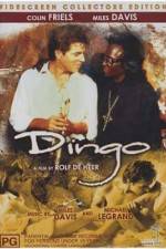 Watch Dingo 123netflix