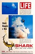 Watch Shark 123netflix