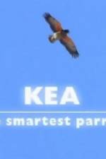 Watch Kea - The Smartest Parrot 123netflix