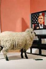 Watch Educating The Sheeple 123netflix