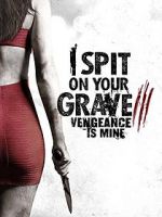 Watch I Spit on Your Grave: Vengeance is Mine 123netflix