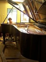 Watch Note by Note: The Making of Steinway L1037 123netflix