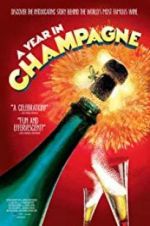 Watch A Year in Champagne 123netflix