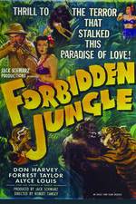 Watch Forbidden Jungle 123netflix