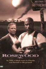Watch Rosewood 123netflix