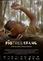 Watch Fig Tree 123netflix