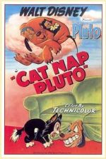 Watch Cat Nap Pluto 123netflix