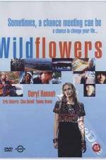 Watch Wildflowers 123netflix