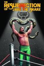 Watch The Resurrection of Jake The Snake Roberts 123netflix
