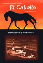 Watch El Caballo: The Wild Horses of North America 123netflix