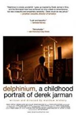 Watch Delphinium: A Childhood Portrait of Derek Jarman 123netflix