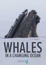 Watch Whales in a Changing Ocean (Short 2021) 123netflix