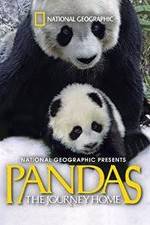 Watch Pandas: The Journey Home 123netflix