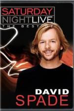 Watch Saturday Night Live The Best of David Spade 123netflix