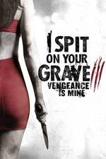 Watch I Spit on Your Grave 3 123netflix