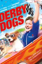 Watch Derby Dogs 123netflix