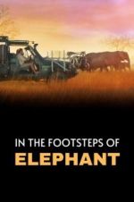 Watch In the Footsteps of Elephant 123netflix