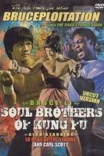 Watch Soul Brothers of Kung Fu 123netflix