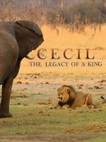 Watch Cecil: The Legacy of a King 123netflix