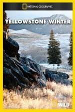 Watch National Geographic Yellowstone Winter 123netflix