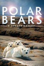 Watch Polar Bears: A Summer Odyssey 123netflix