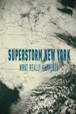 Watch Superstorm New York: What Really Happened 123netflix