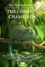 Watch Our Wonderful Nature - The Common Chameleon 123netflix