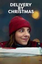 Watch Delivery by Christmas 123netflix
