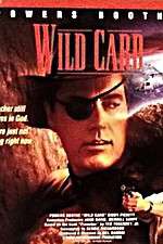 Watch Wild Card 123netflix