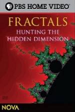 Watch NOVA - Fractals Hunting the Hidden Dimension 123netflix