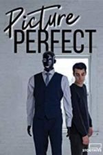 Watch Picture Perfect 123netflix