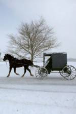 Watch Leaving Amish Paradise 123netflix