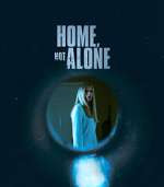 Watch Home, Not Alone 123netflix