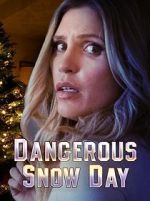 Watch Dangerous Snow Day 123netflix