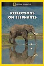 Watch Reflections on Elephants 123netflix