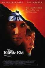 Watch The Karate Kid Part III 123netflix