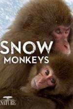 Watch Nature: Snow Monkeys 123netflix