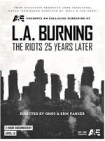 Watch L.A. Burning: The Riots 25 Years Later 123netflix