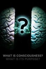 Watch What Is Consciousness? What Is Its Purpose? 123netflix
