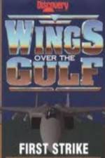 Watch Wings Over the Gulf Vol  1  First Strike 123netflix
